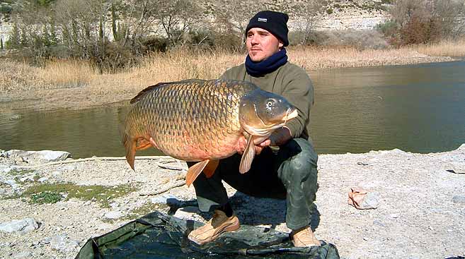 Ebro Karpfen 28,5 kg Mequinenza Spanien
